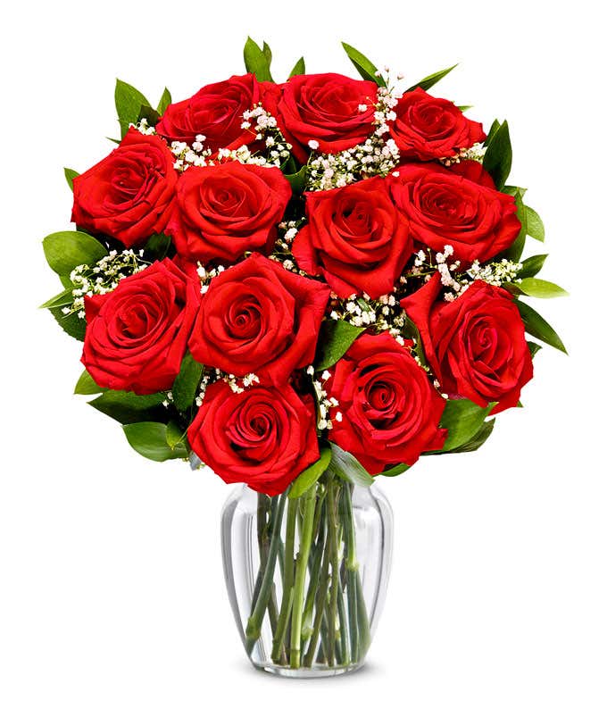 One Dozen Red Roses + Chocolate + Bear