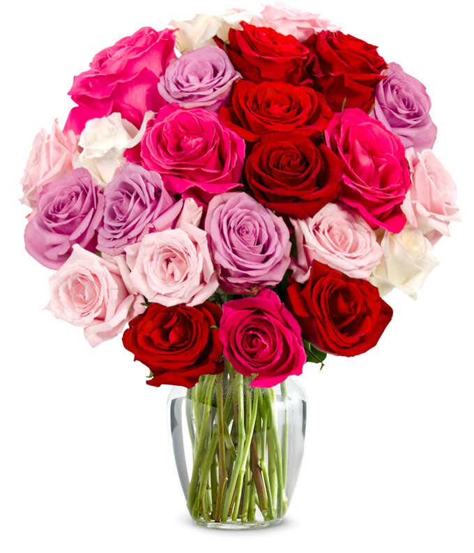 two dozen pastel roses