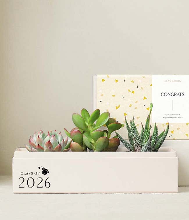 Lula's Garden &reg; Congrats Grad! Jewel Garden