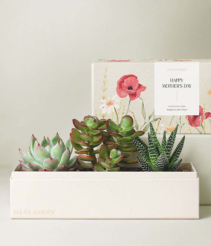 Lula's Garden ® Mother's Day Jewel Garden