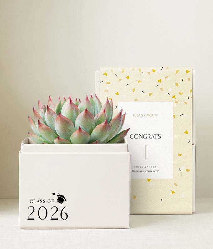 Lula's Garden ® Congrats Grad! Bliss Garden