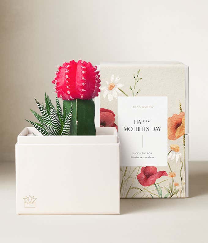 Lula's Garden ® Mother's Day Rosé Garden