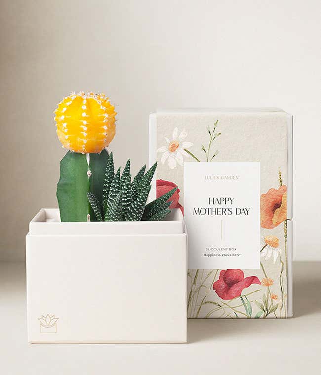 Lula's Garden &reg; Mother's Day Ray of Sunshine 