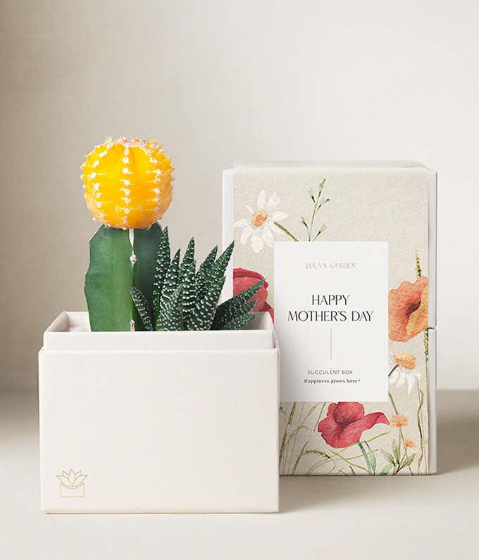 Lula's Garden ® Mother's Day Ray of Sunshine 