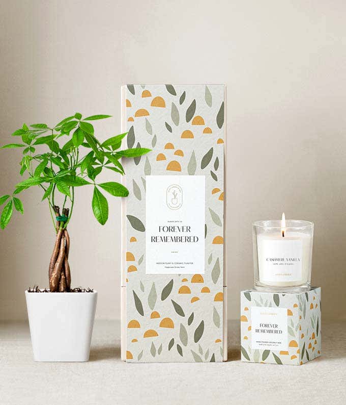Sympathy gift set featuring a money tree in a white ceramic planter, a citrus blossom scented candle, and a decorative gift box with a leaf and sun pattern labeled Forever Remembered