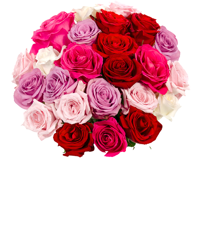 Partial image of two dozen pastel roses without vase.