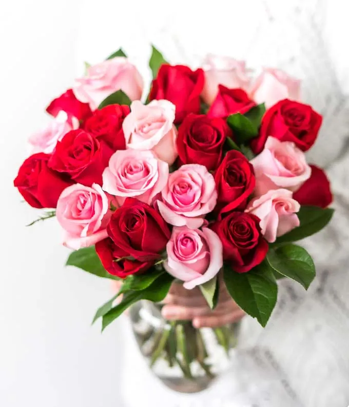 Two dozen red and pink roses